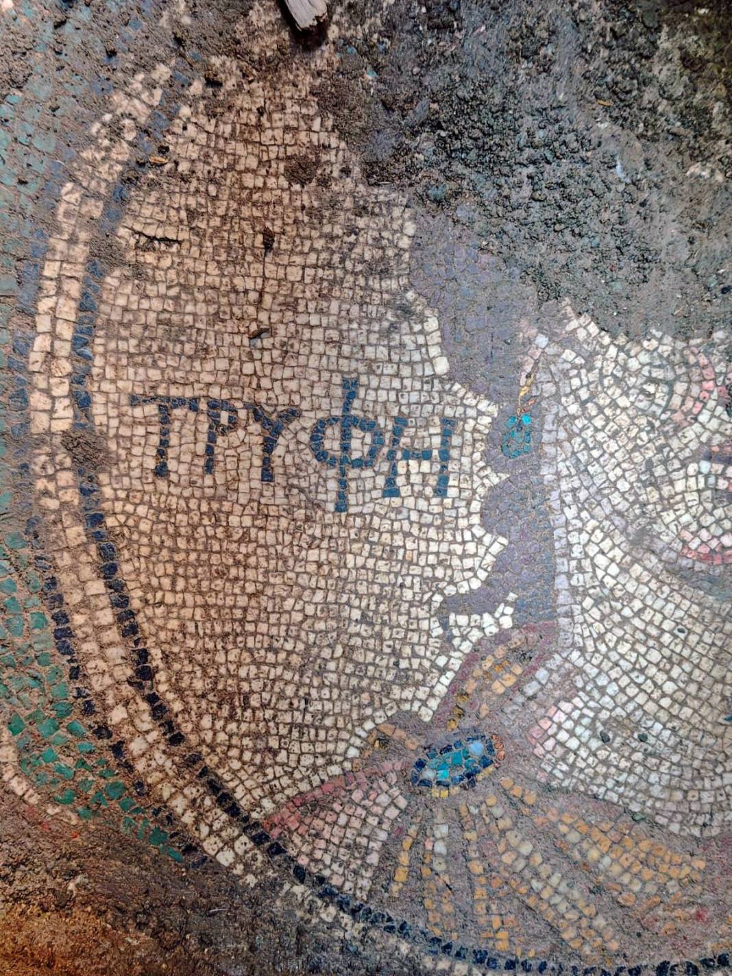 Yaptığı kaçak kazıyı sosyal medyada paylaşınca yakalandı! 2 bin yıllık Roma mozaiği buldu, İtalya'ya satacaktı 10